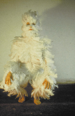 gallowhill:  Ana Mendieta - Bird Transformation, 1972 