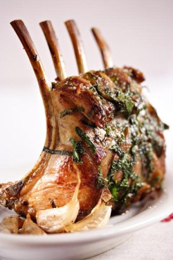 basilgenovese:  Rack of Lamb with Herbs (via Lafite) 