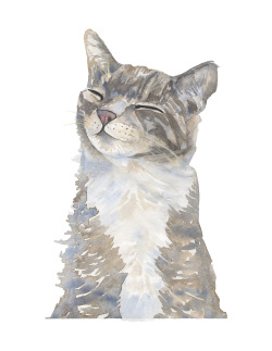 kboyington424:  Cats by Kate Boyington.   Get your pet portrait