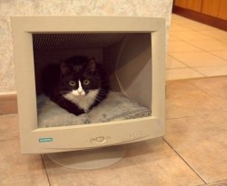 sweet-bitsy:awwww-cute: Found an old PC monitor, decorated a