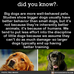 thisacelovesheadcanons:  talesfromtreatment:  did-you-kno: Big