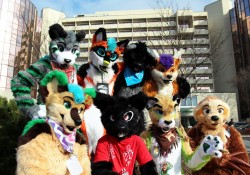 twitchytigs:  Mischief Makers photoshoot at Midwest FurFest 2014.
