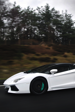  Aventador Coasting the Wilderness 