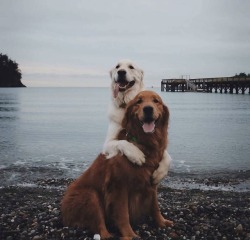 aww-so-pretty:  Couple goals