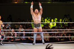 rwfan11:  ….Adrian Neville …..that NXT belt was perfectly