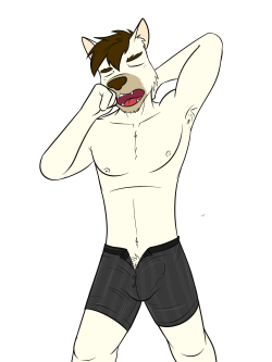 OC Underwear Meme 04Turns out folks really liked the canine dudes