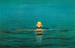 aqqindex:  Ibizia, San Miguel Bay, 1972