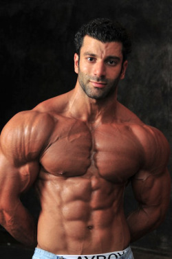 tantalus69:  Rabih Laz  Very handsome and muscular - he should