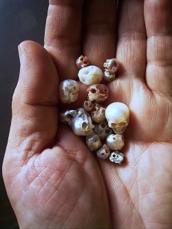 skull-a-day:  Carved pearl skulls by Shinji Nakaba.   