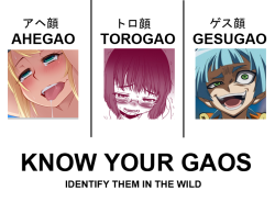 tsukum:SPECIFIC ANIME FACIAL EXPRESSION TERMINOLOGY GUIDE BY YOUR FRIENDLY NEIGHBORHOOD -GAO EXPERTahegao (ã‚¢ãƒ˜é¡”): lit. â€œpanting face,â€ ahegao refers specifically to a facial expression where the characterâ€™s eyes are rolled back and their tongue