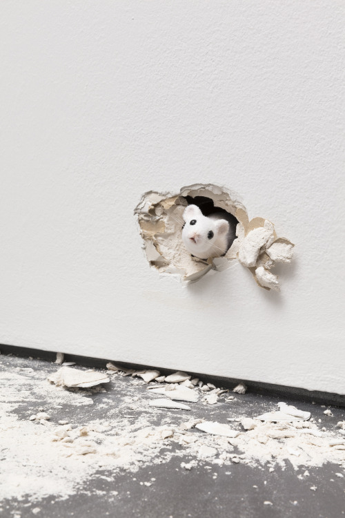 mentaltimetraveller:  Ryan Gander “Some Other Life” at Esther