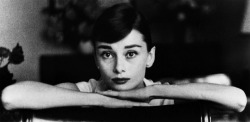dearfawndoe:  Audrey Hepburn, classic portraits taken at her