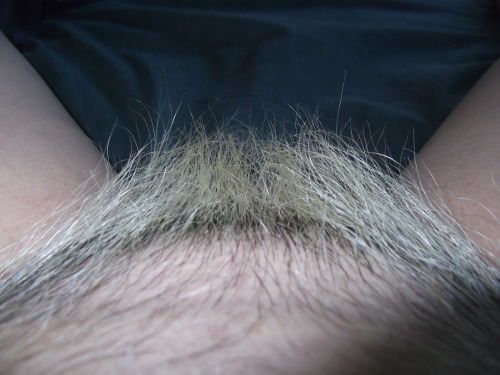 Bleached, You can see the roots…