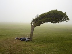 1000scientists:  Green Point Common, Cape Town, 2013 Pieter Hugo