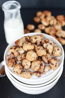 do-not-touch-my-food:  Oatmeal Chocolate Chip Cookie Cereal 