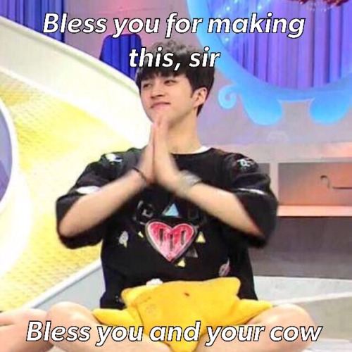 vixx-memes:  More captioned Vixx memes for ur memeing pleasure