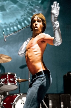 moredarkthanshark:Iggy Pop, Winterland Ballroom, San Francisco,