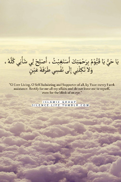 صمت الحياة