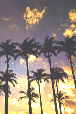 wavemotions:  b u r n i n g s k y