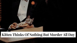thewiildbunch:the godfather part i   the onion headlines