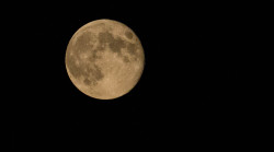 spaceexp:  Full moon taken with a canon t3i and a 250mm lens.