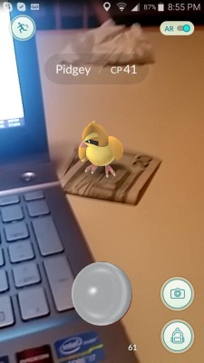 cyberpunkdva:  Reblog Money Pidgey within 30 seconds and you