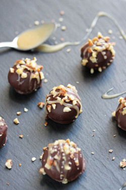 confectionerybliss:  Turtle TrufflesSource: Ashley Marie’s