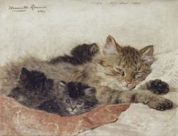 pintoras: Henriette Ronner-Knip (Dutch, 1821 - 1909): Cat and