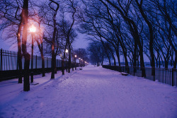 we-set-it-off:  #snow #streets #love #relaxing #trees on We Heart