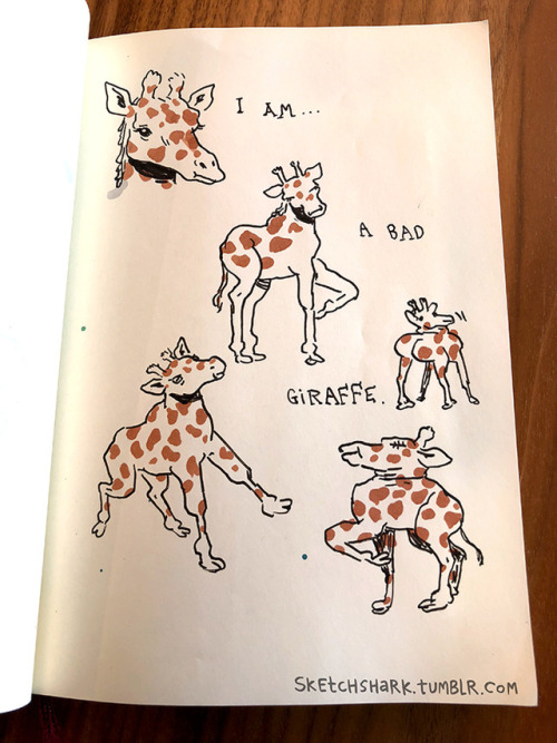 bax16: advanced-procrastination:   sketchshark: I drew a series of graceful animals recently. Here are my favorites.   Can i ask a question   No they’re perfect 
