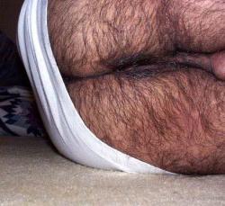 daddydawgs:  y-fronts-guy: YUM!! All that fur and framed in white