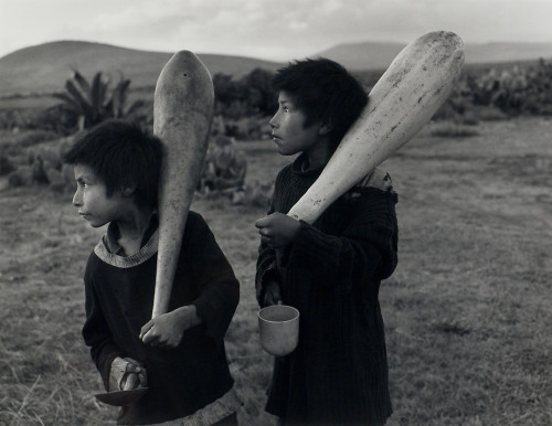 photoarchive: Flor Garduño, Reyes de cana, 1981