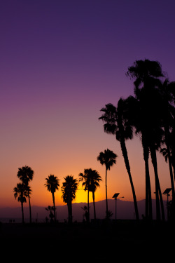 cityofvice:  Venice Beach, CA 