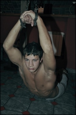 roddymcc: slavedboy:  perroscalientes: http://nuevaediciondeperros.blogspot.com/