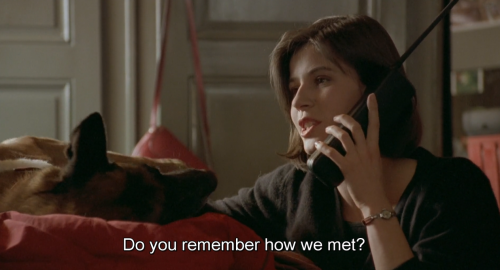 hirxeth:Three Colors: Red (1994) dir. Krzysztof Kieślowski