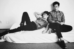 비스트