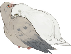 maimbutt:  I’m shipping birds, again.  omfg yessssss…!