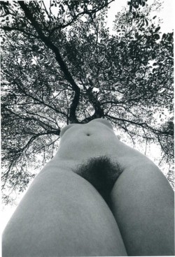 vivipiuomeno:  Lucien Clergue  ph. 