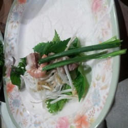 Fresh Spring rolls. <3