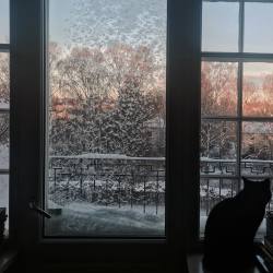 nakedly:(-19 degrees celcius so the windows have frosted snowflakes