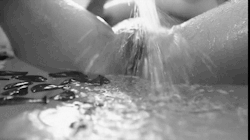 papabear6:  The water pulsing down on your throbbing clit making