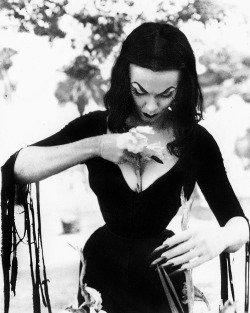 vintagegal:Vampira c. 1950s