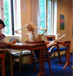 carcat:  our biology teacher brought a skeleton to class yesterday