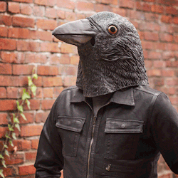 laughingsquid:  Giant Crow Mask by Archie McPhee
