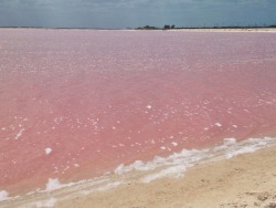 etherealval6:  Las Coloradas, Yucatán.