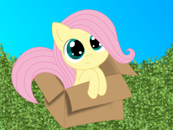 madame-fluttershy:  Fluttershy In A Box by Intet22  Hnnng <333