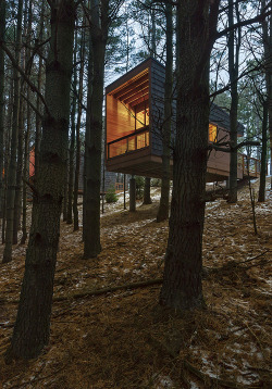 archatlas:    Whitetail Woods Cabins HGA Architects and Engineers