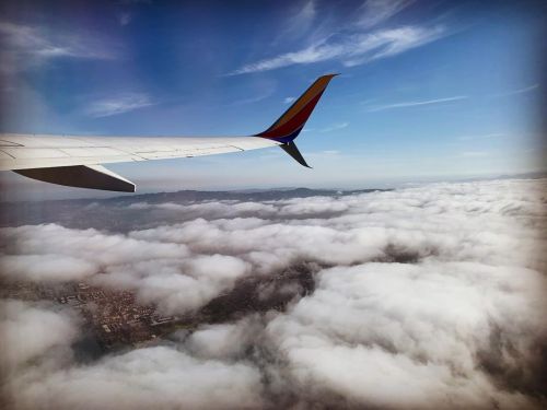 Flying the friendly skies on @southwestair  https://www.instagram.com/p/CFuqECdD-Wr/?igshid=v6wvfusps98k