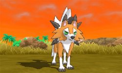shelgon:  High quality direct feed images of Lycanroc Dusk Form 