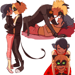 taylordraws:   i feel bad for not posting any ladybug in a couple